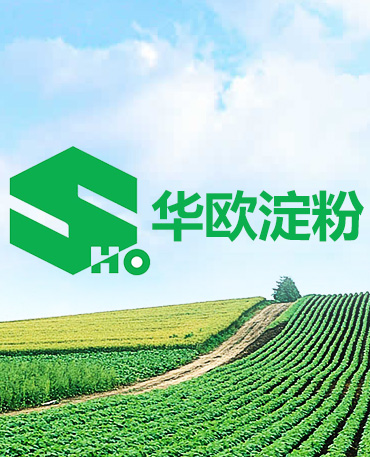 內蒙古自治區(qū)黨委督查室聯合調研組深入華歐淀粉公司調研