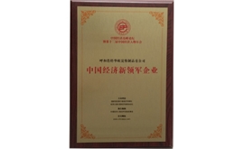 2014中國(guó)經(jīng)濟(jì)新領(lǐng)軍企業(yè)