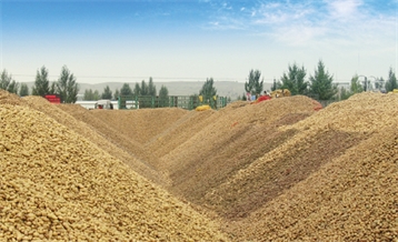 原料倉(cāng)儲(chǔ)